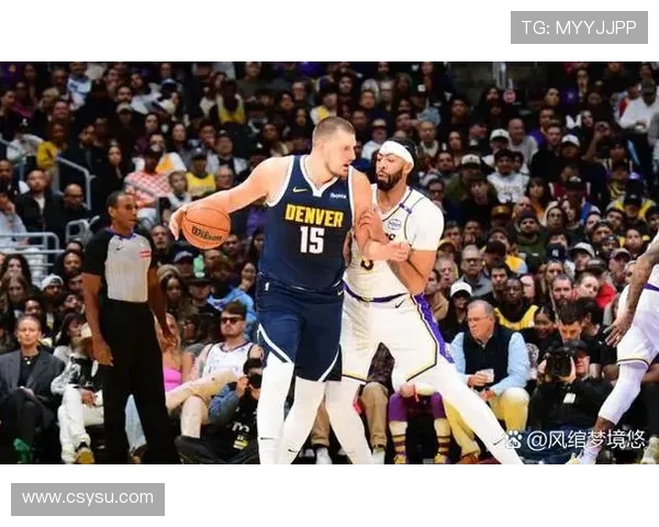 深度解析NBA篮球联赛，各队赛季表现与战术风格