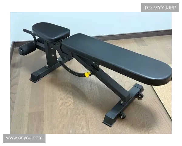 锻炼腰椎的健身器材 适合缓解腰部不适的器材